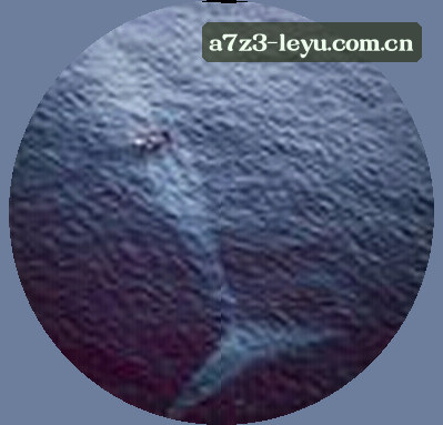 陈涛